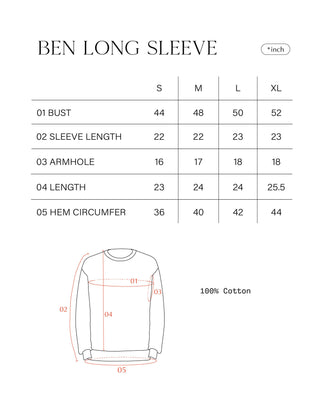 BEN Long-sleeve knit stripe sweater